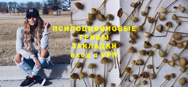 трава Наволоки