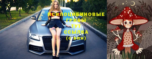 винт Надым