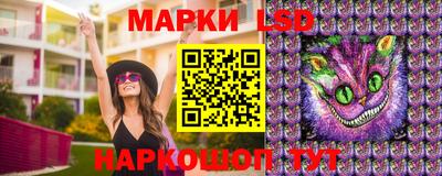 ешки Можга