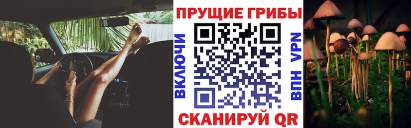 Галлюциногенные грибы Cubensis  дарк нет Telegram  Скопин  наркотики 