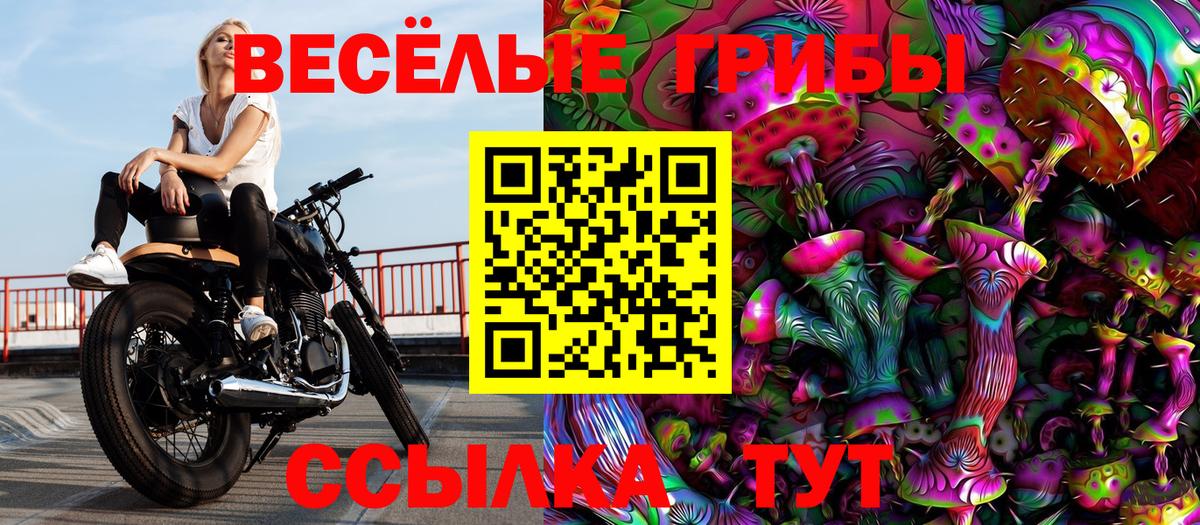 Псилоцибиновые грибы MAGIC MUSHROOMS Скопин